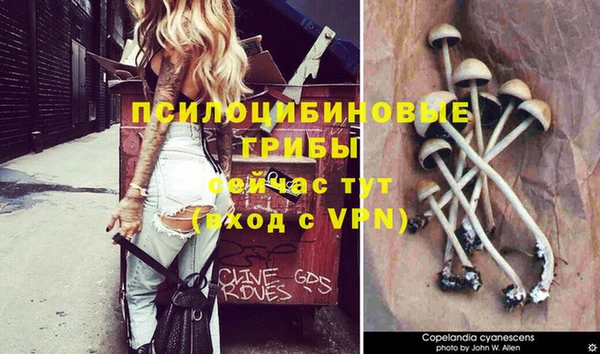 наркотики Алексеевка