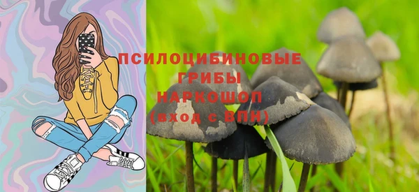 молекула духа Алзамай