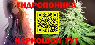 стафф Краснокаменск