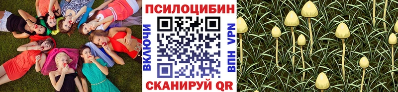 Галлюциногенные грибы MAGIC MUSHROOMS  Слободской 