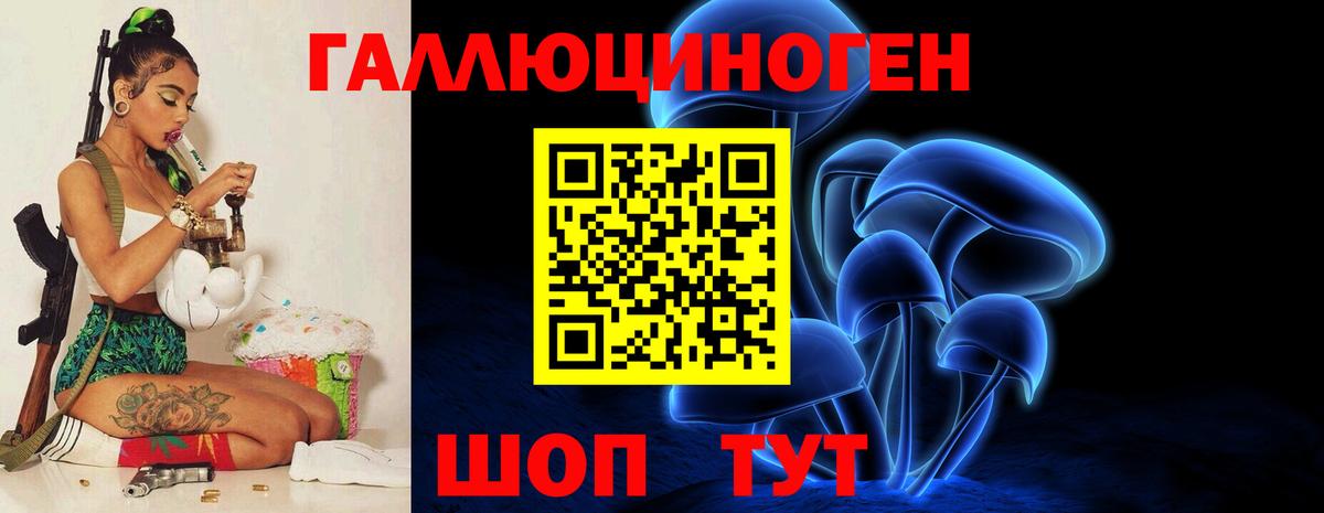 Слободской  Псилоцибиновые грибы Psilocybe  Вход с VPN 